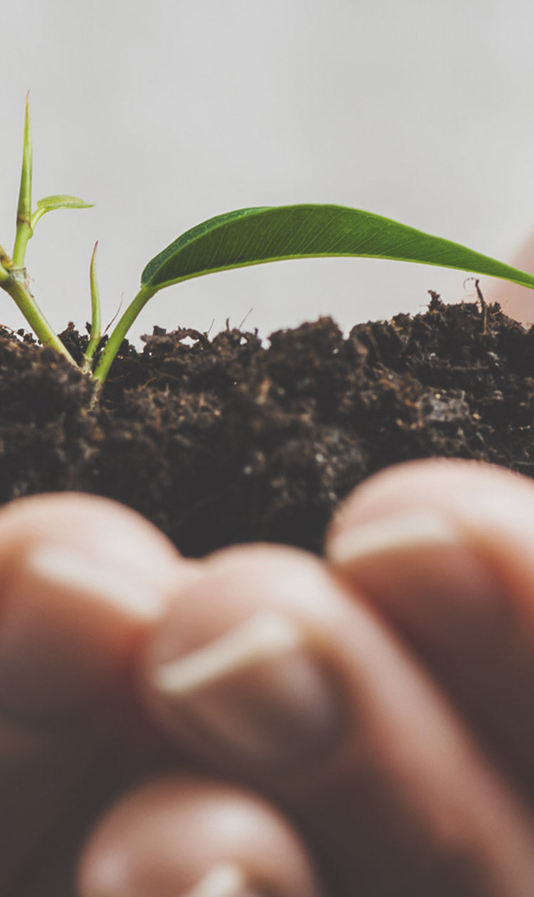 Dorelan, un’azienda sempre più green!