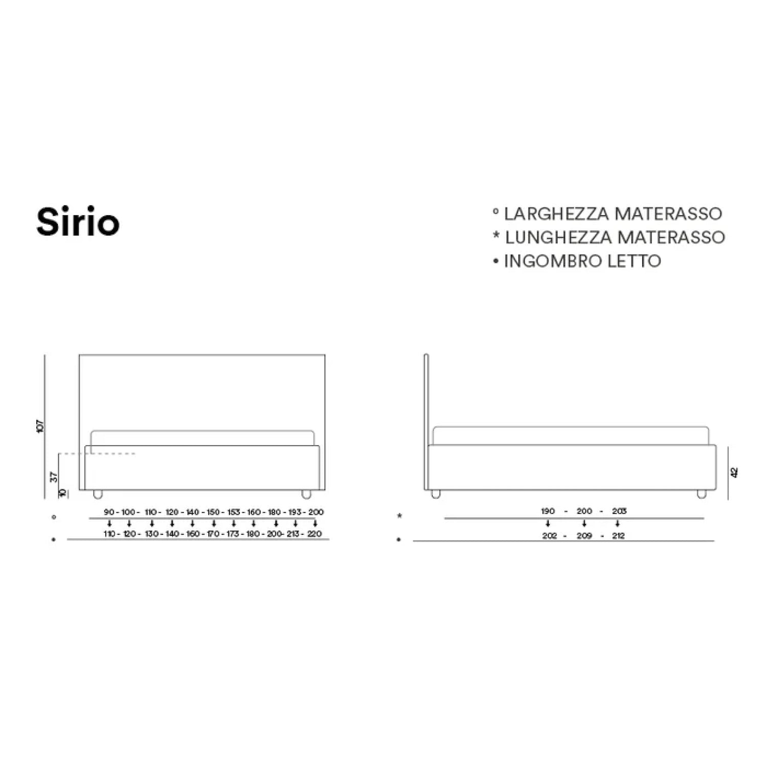 SIRIO Case